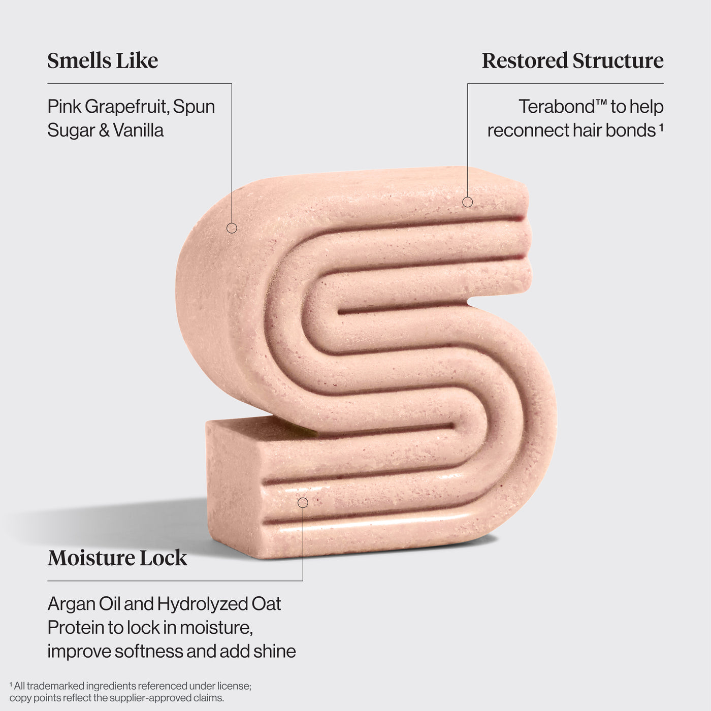 Combo di shampoo e balsamo riparatori all'olio di Argan