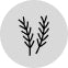 Rosemary Extract